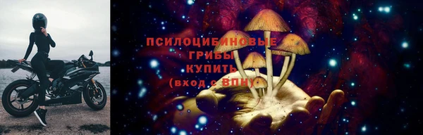 ALPHA-PVP Няндома