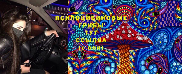 ALPHA-PVP Няндома
