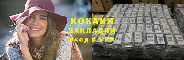 ALPHA-PVP Няндома